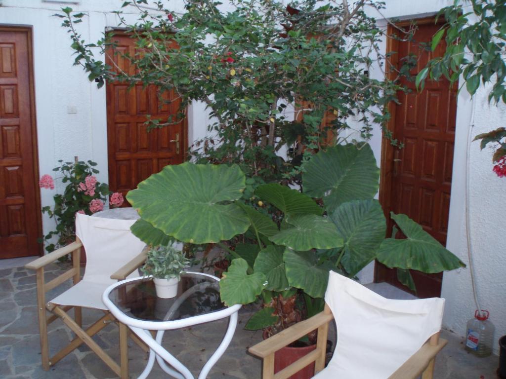 Pantazis Studios Aegina Bilik gambar