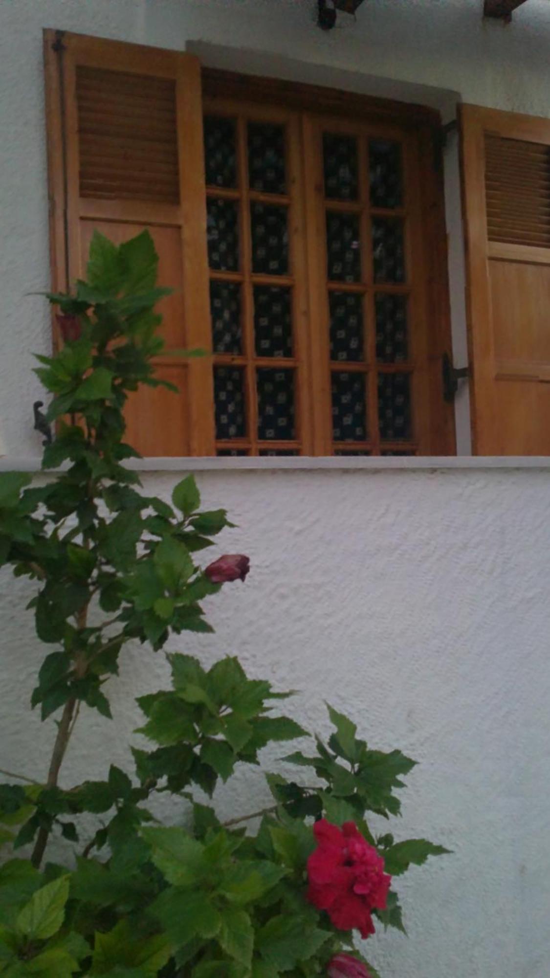 Pantazis Studios Aegina Luaran gambar